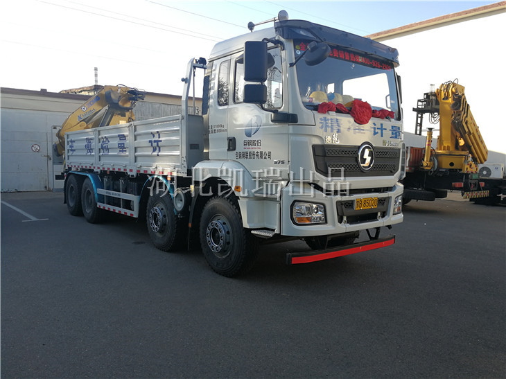 上牌后的包鋼計量中心的DWJ5311JJHD5重型計量檢衡車(右前) 上牌后的包鋼計量中心的DWJ5311JJHD5重型計量檢衡車(右前)