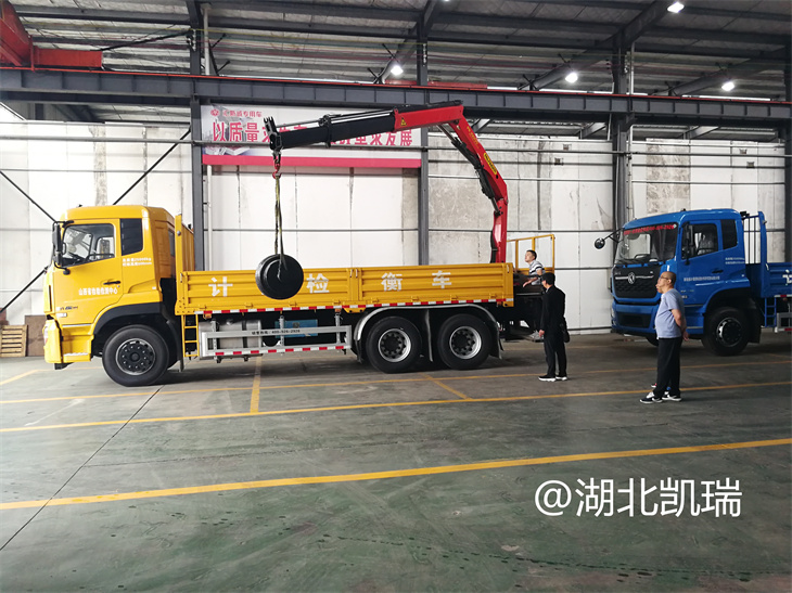 檢衡車吊機重載停機查看墜落情況 檢衡車吊機重載停機查看墜落情況