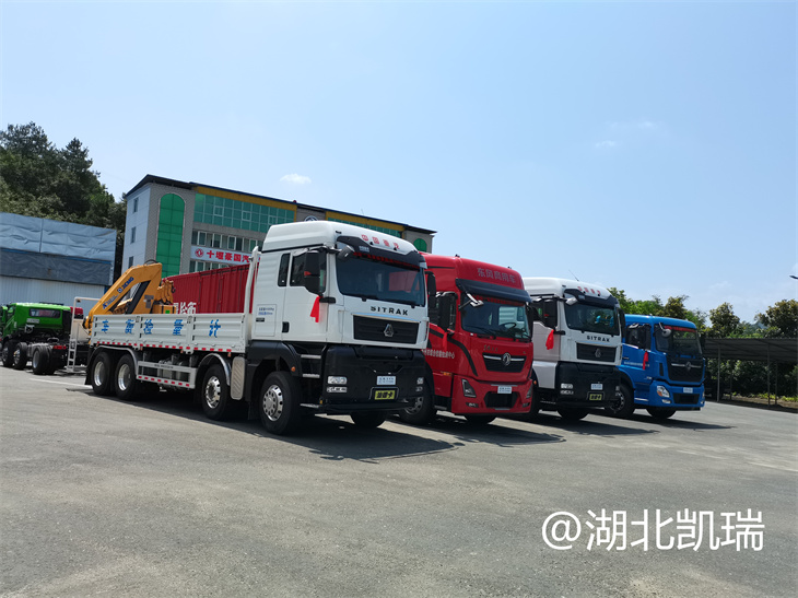 四臺新款計量檢衡車齊發車(右前) 四臺新款計量檢衡車齊發車(右前)